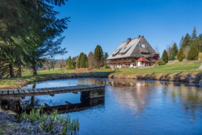 Ferienwohnung im Hubertushof Feldberg
